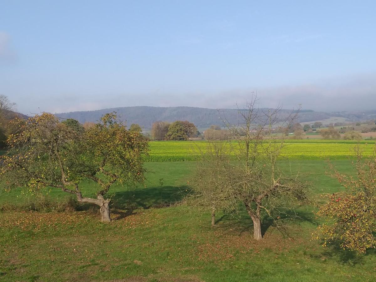 Ferienwohnungen Zum Lindenwirt Oberweser Zewnętrze zdjęcie